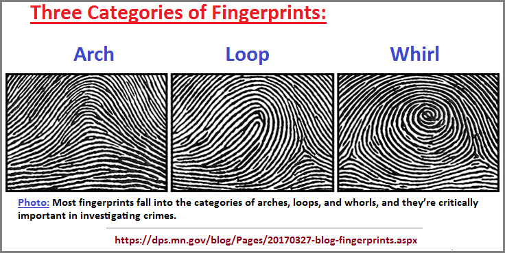 Three categories of fingerprints