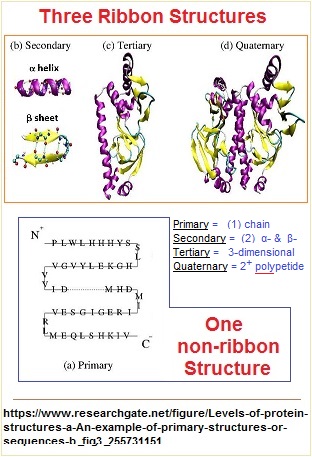 Three to One ribbon model of protein structure image 2