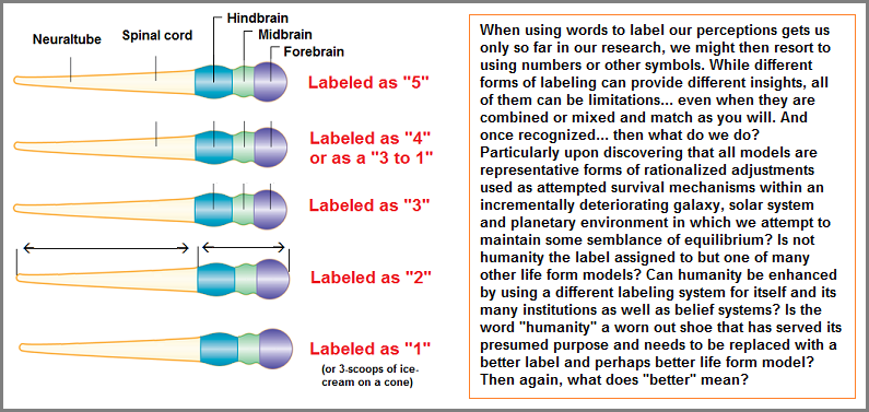Word labels being substituted with numerical references
