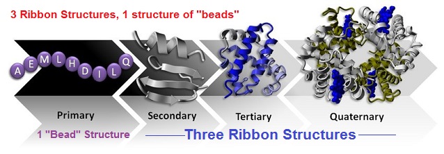 3 ribbon and 1 bead structure