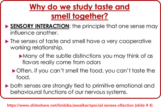 The senses of smell and taste are studied together