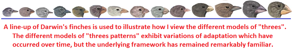 Line up of Darwin's Finches