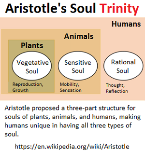 Aristotlle's Trinity of the Soul