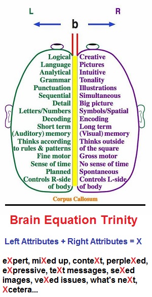 Brain Equation Trinity