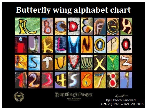 The butterfly wing alphabet chart