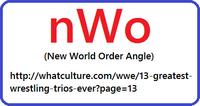 New World Order (Wrestling) Angle