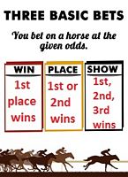 Trinity of Horse racing bets