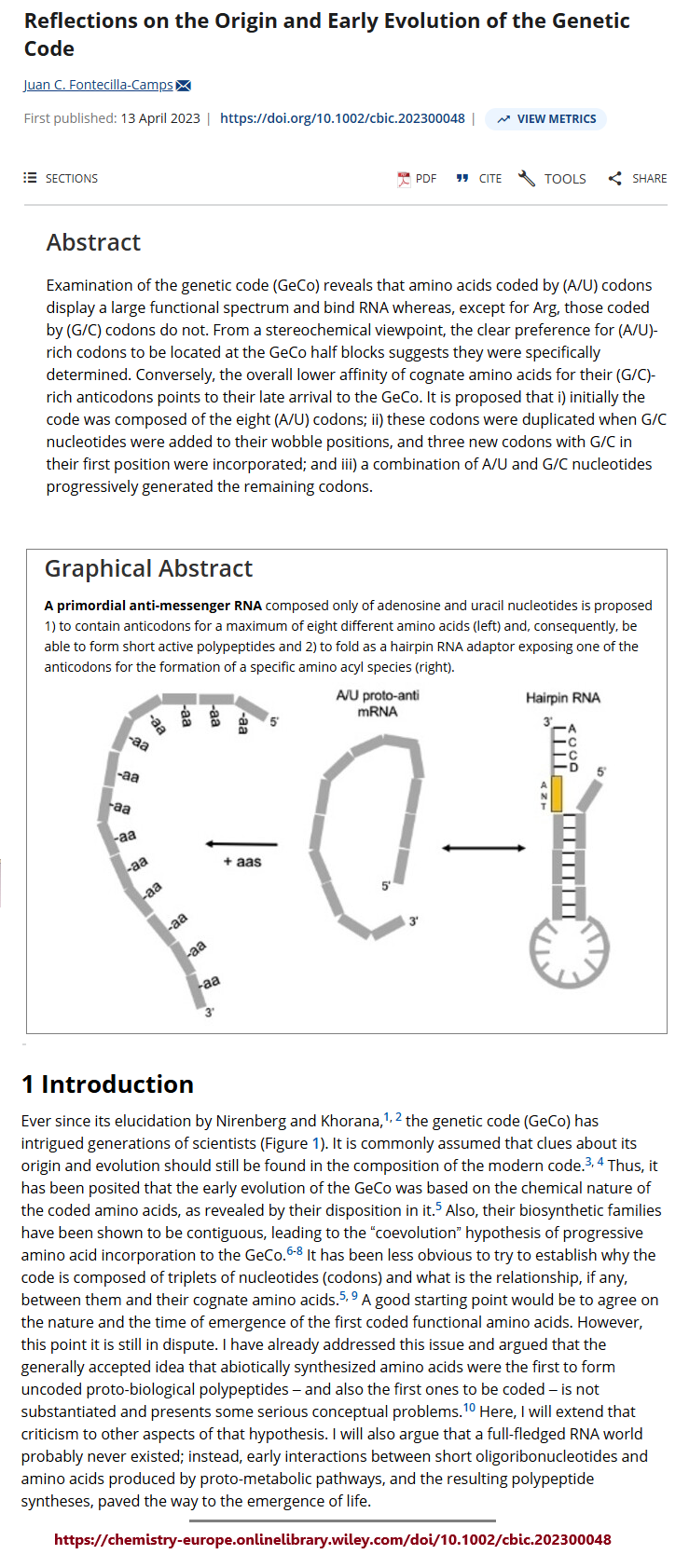 Reflections on the genetic code origin
