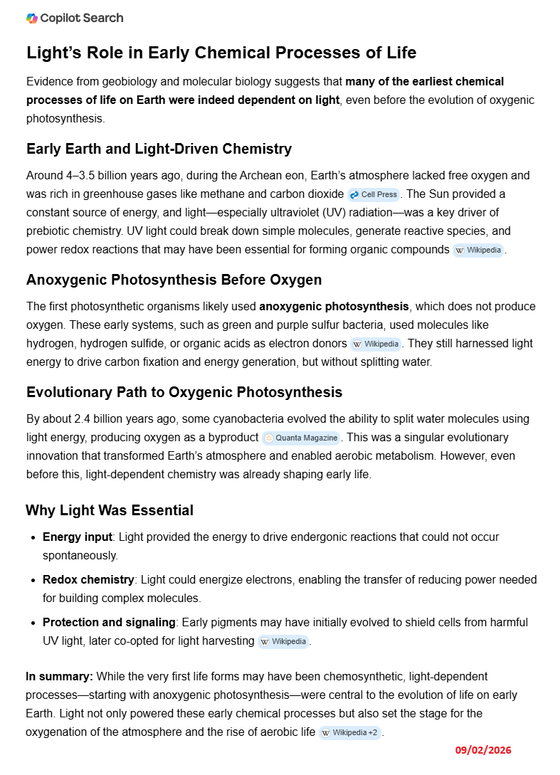 The role of light in the emergence of life