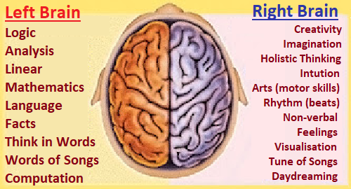 Examples of brain hemisphere attributes