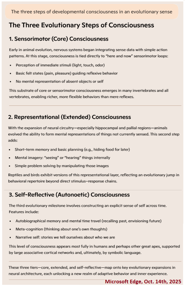 Consciousness viewed through the Microsoft Edge AI Microsoft Edge AI view of consciousness