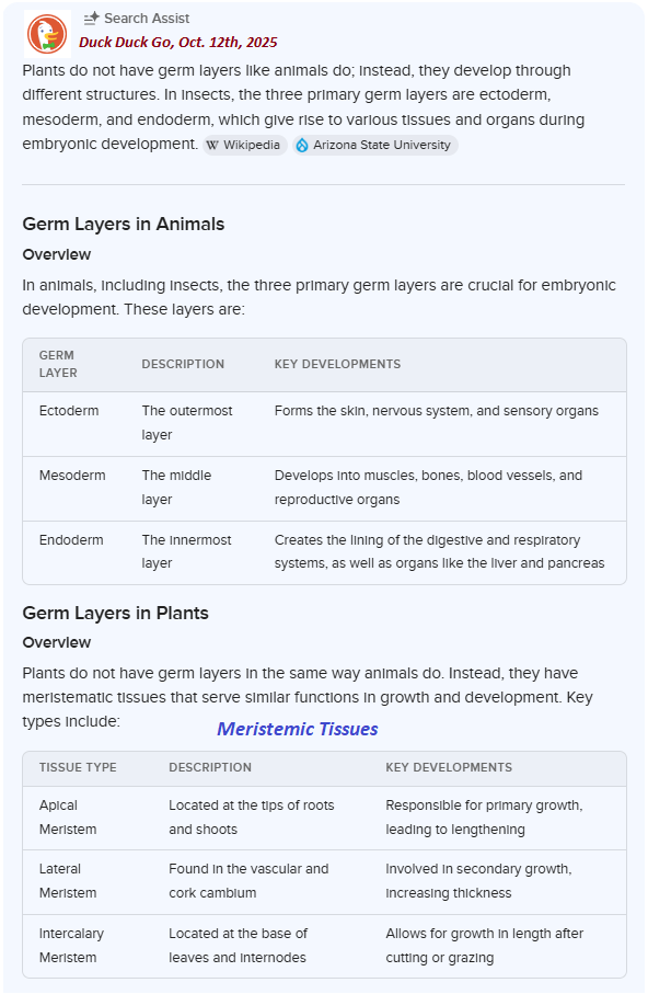 3 Layers in plants and animals