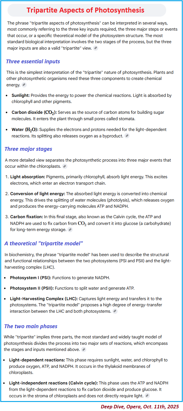 Deep Dive option of photosynthesis query