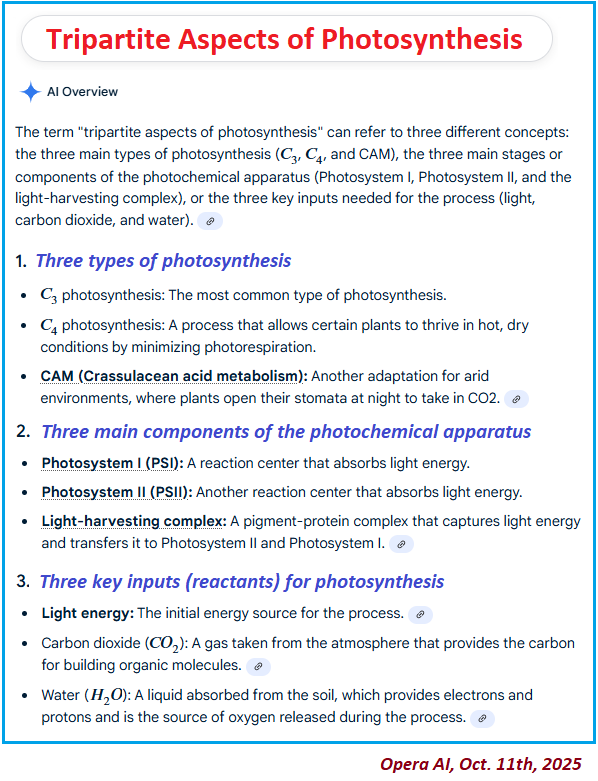 Photosynthesis is linked to Enlightenment