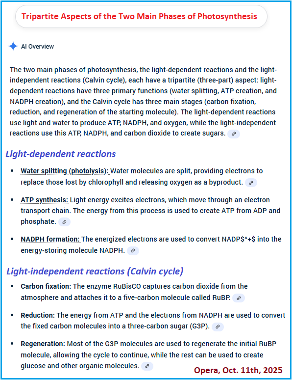 Tripartite aspects of two phases in photosynthesis