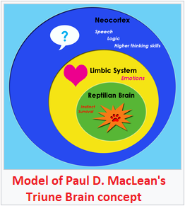 Conceptualized illustrations of the Triune Brain P.D. MacLean's Triune brain emblem