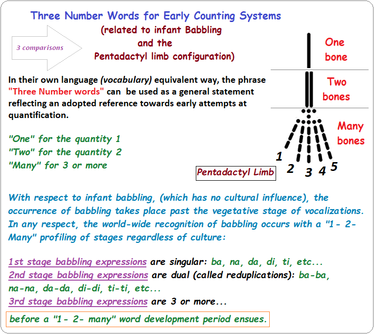 One, Two, Many profile in 3 different subjects Compairing 3 different subjects for a basic pattern