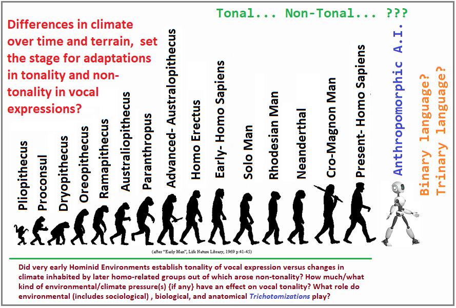 Tone and Non-tonality develops over time Hominid and Homo lineage examples