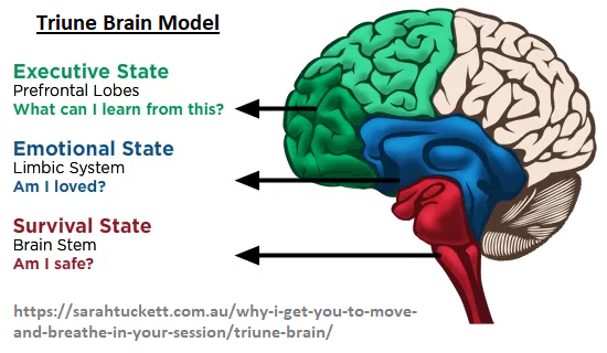 Paul MacClean's Triune brain idea Triune brain model
