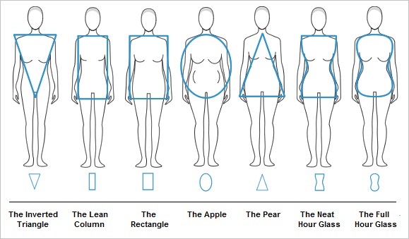 Body shape chart 1