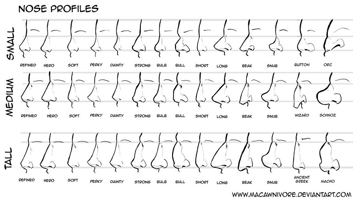 Profiles of noses