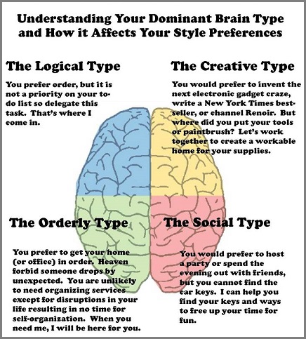 Four dominant brain types