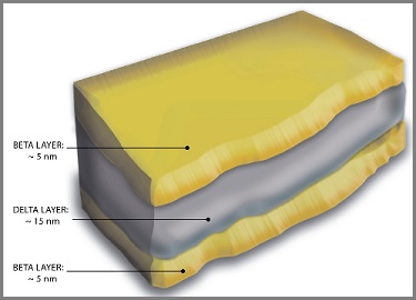 sandwich layers of the cell membrane complex