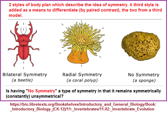 Basic models of symmetry in Biology