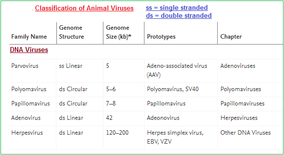 DNA viruses (14K)