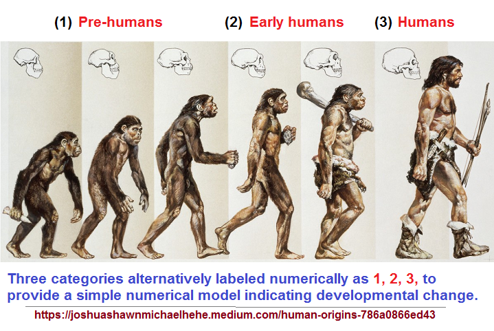Generalized Human developmental lineage