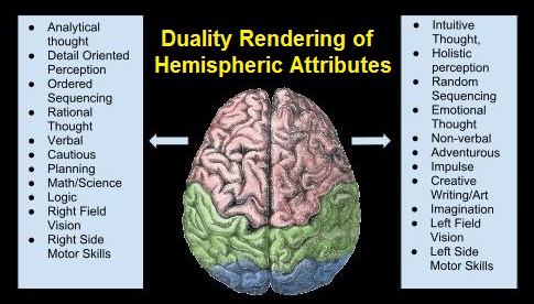 Hemispheric attriubtes rendered as a dichotomy