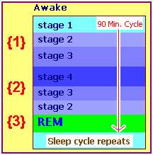 3-part division of sleep stages