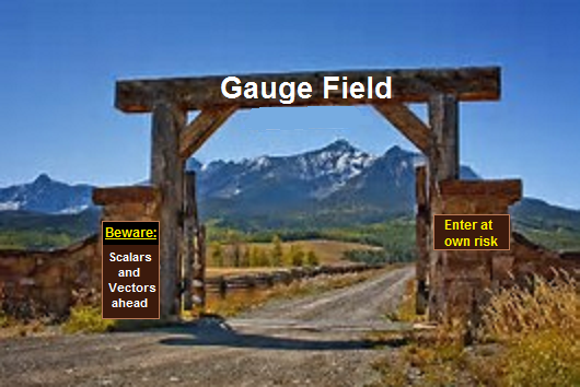 Guage Field analogy to property boundary