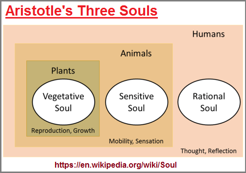 The three souls idea of Aristotle