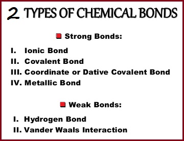 Bond types set in a dichotomous arrangement