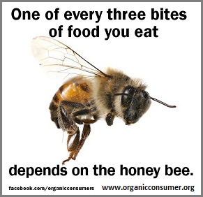 Honey Bee producer
