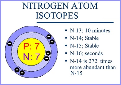 Some Isotopes of Nitrogen